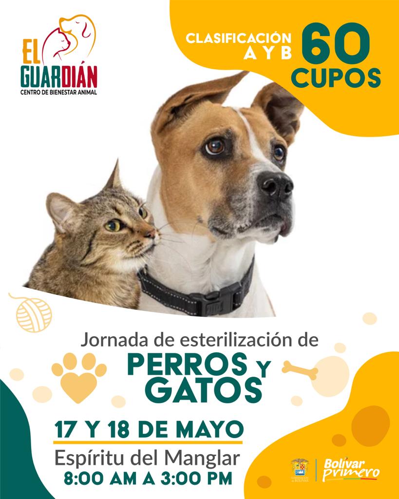 Inauguran parque para perros y gatos en Cundinamarca - Extrategia Medios