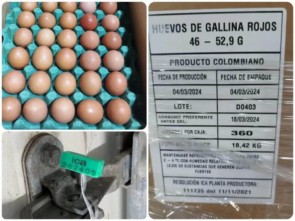Colombia exporta por primera vez huevos a Cuba