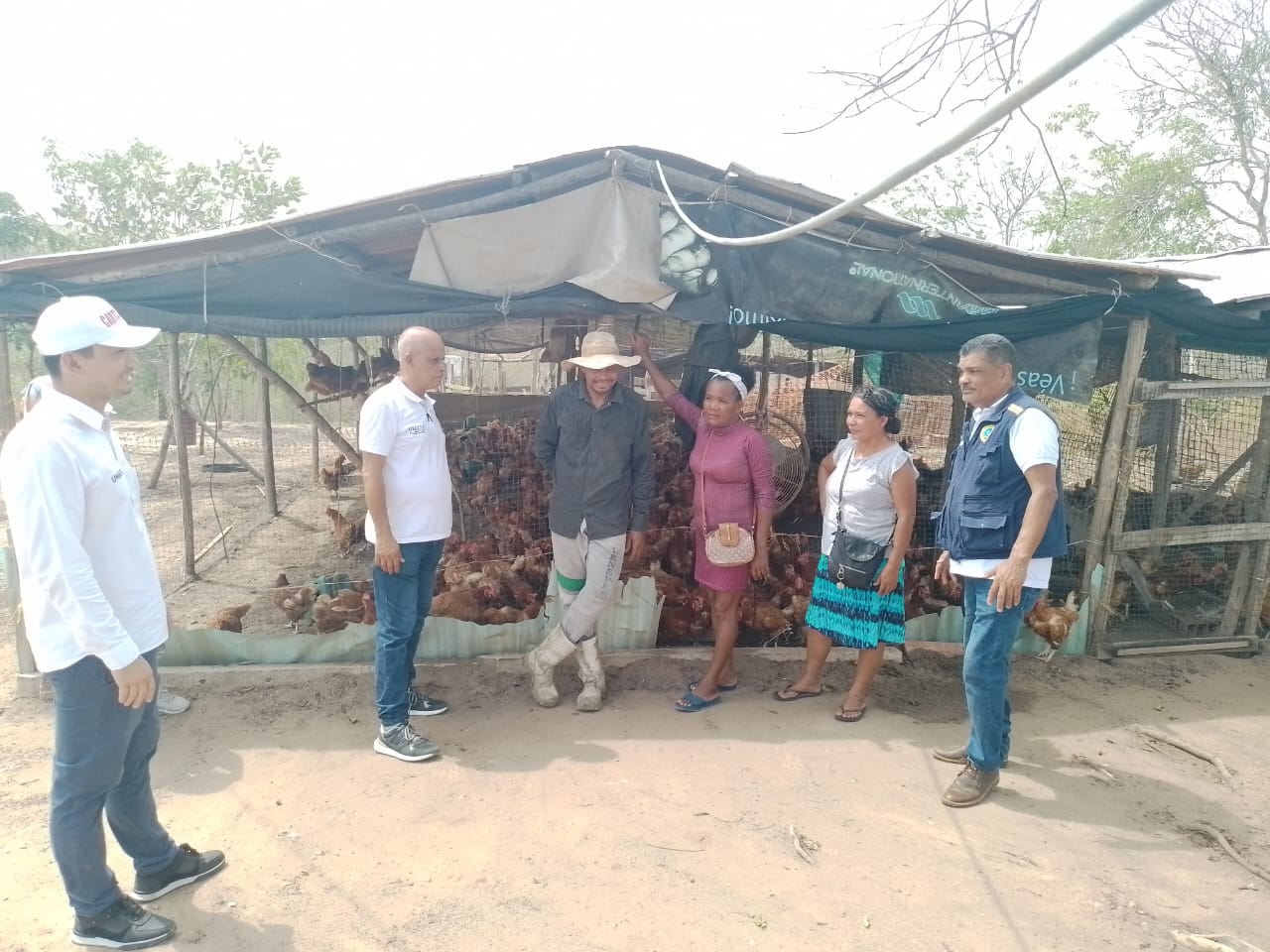 Emprendimiento con gallinas ponedoras en vereda La Concordia en Pasacaballos