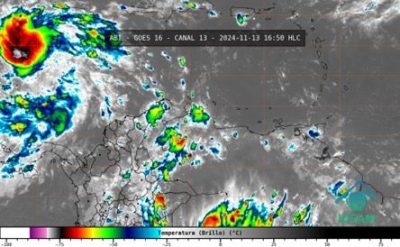 Debido a las condiciones actuales de viento y oleaje, se han emitido alertas.