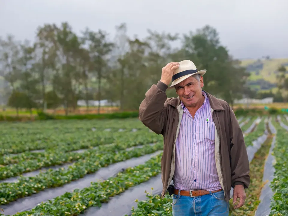 El sector rural y agropecuario alcanza mayor nivel de empleo para marzo en seis años