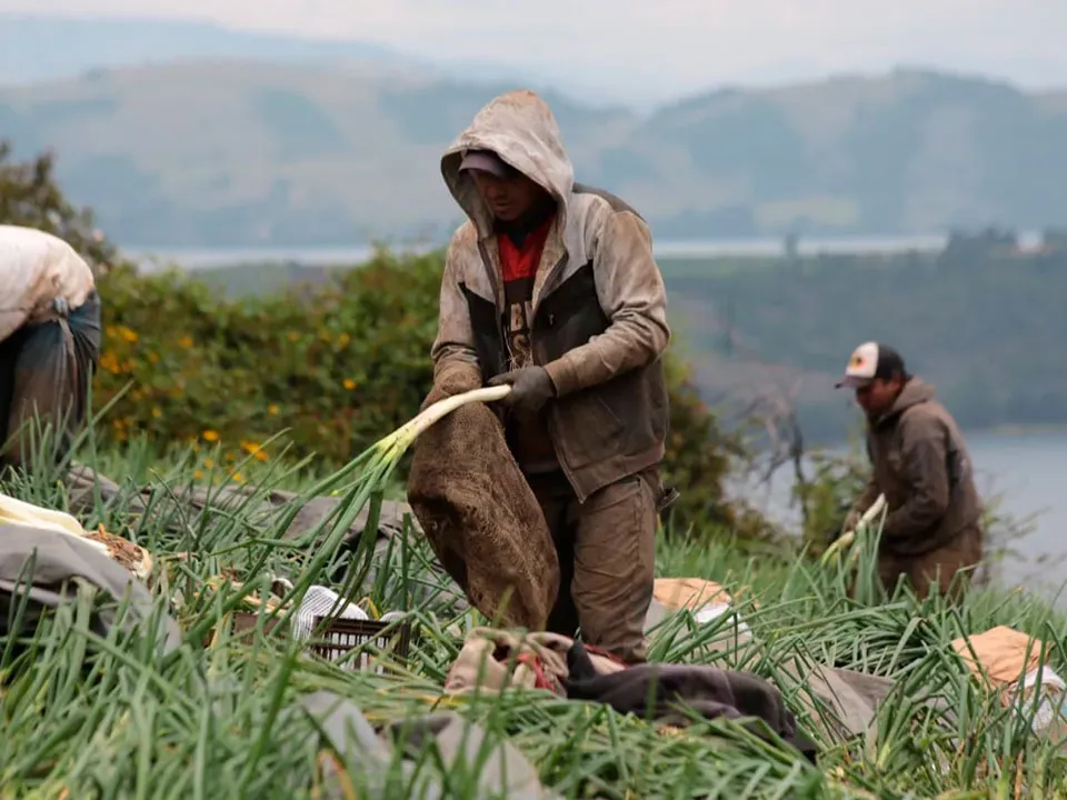Corte Constitucional avala creación de la Jurisdicción Agraria y Rural