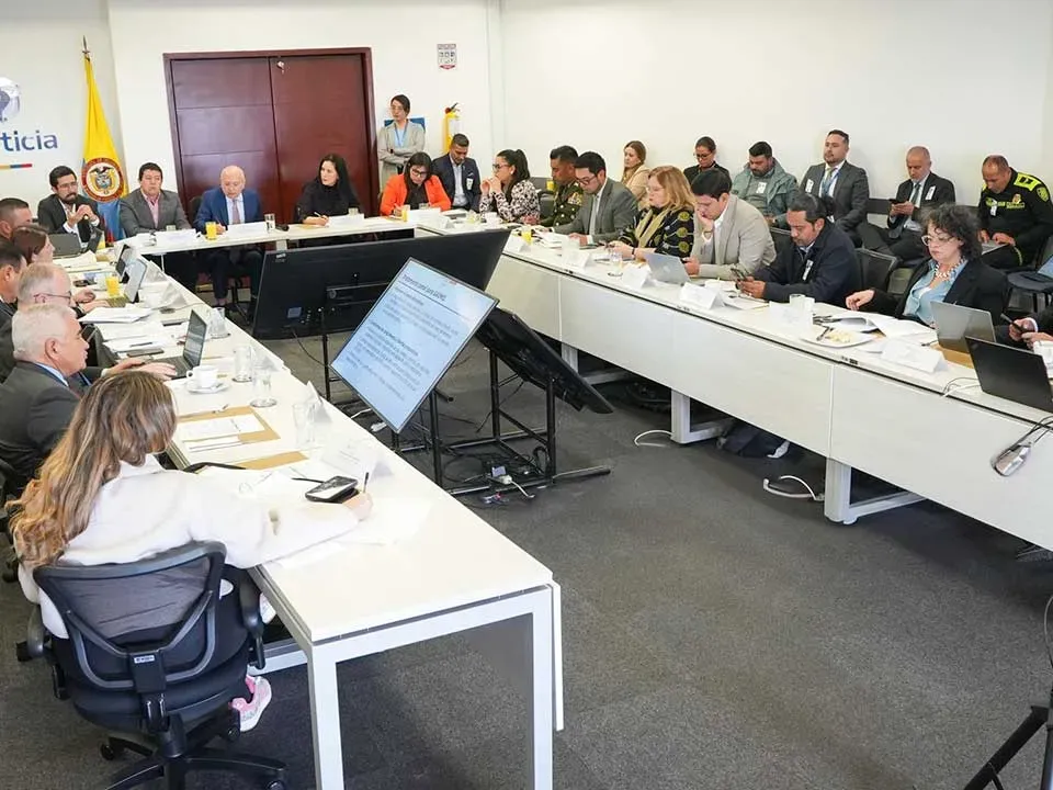 ‘Proyecto que pide castigar como adultos a adolescentes desconoce función protectora del Estado’: Consejo Superior de Política Criminal