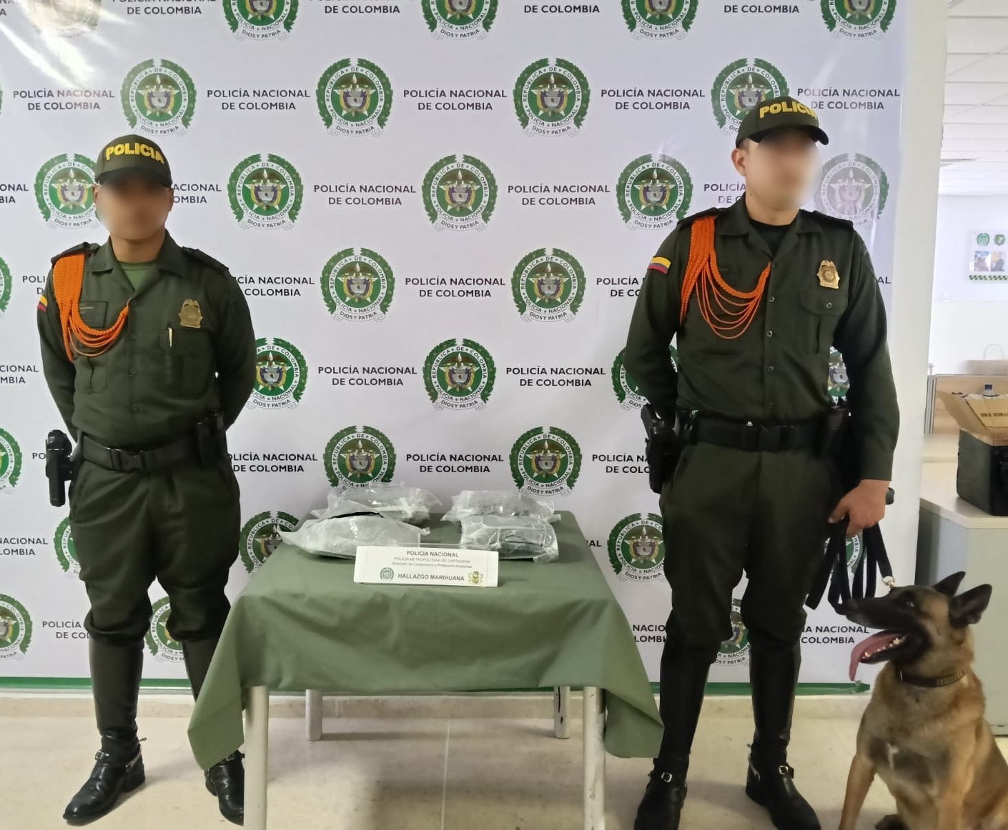 Canino “Killer” incauta más de 3.000 dosis de droga en encomienda