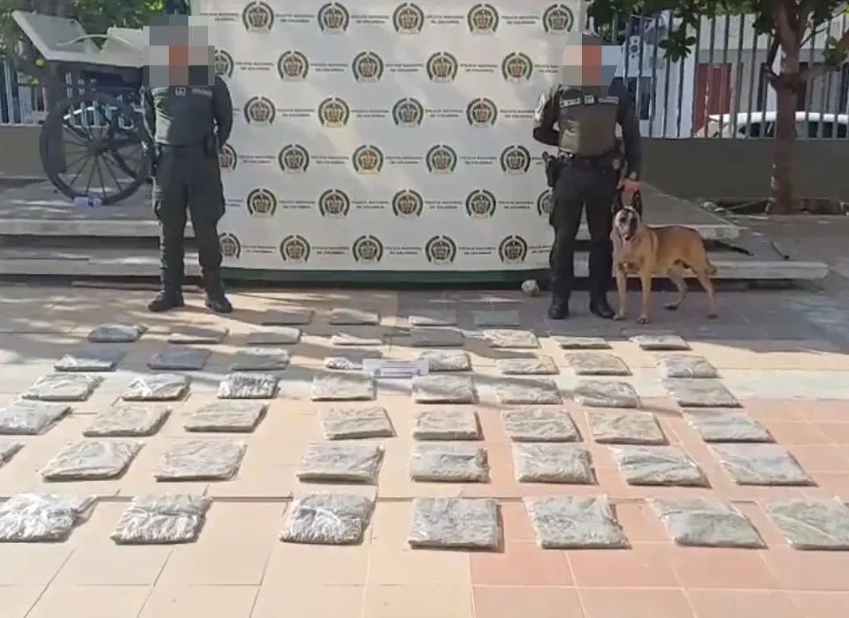 Incautan más de 26 mil dosis de marihuana en operativo en El Bosque, Cartagena