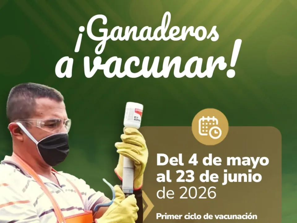 ¡Ganaderos a vacunar! Inició el primer ciclo de vacunación contra la fiebre aftosa en Colombia.