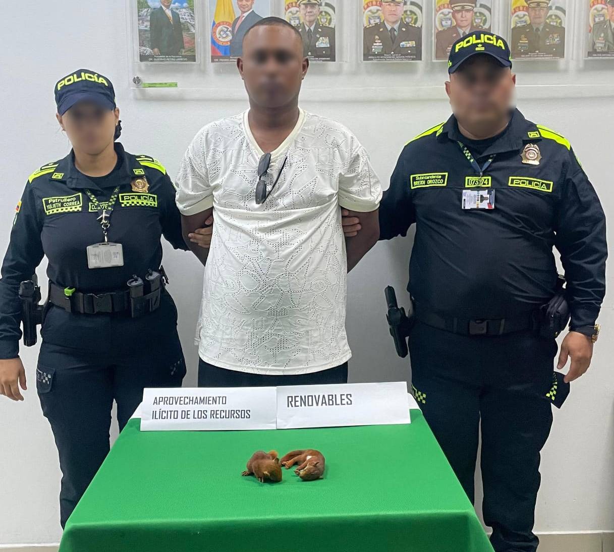 ¡Otra vez! llevaba dos ardillas en sus partes íntimas con destino a República Dominicana