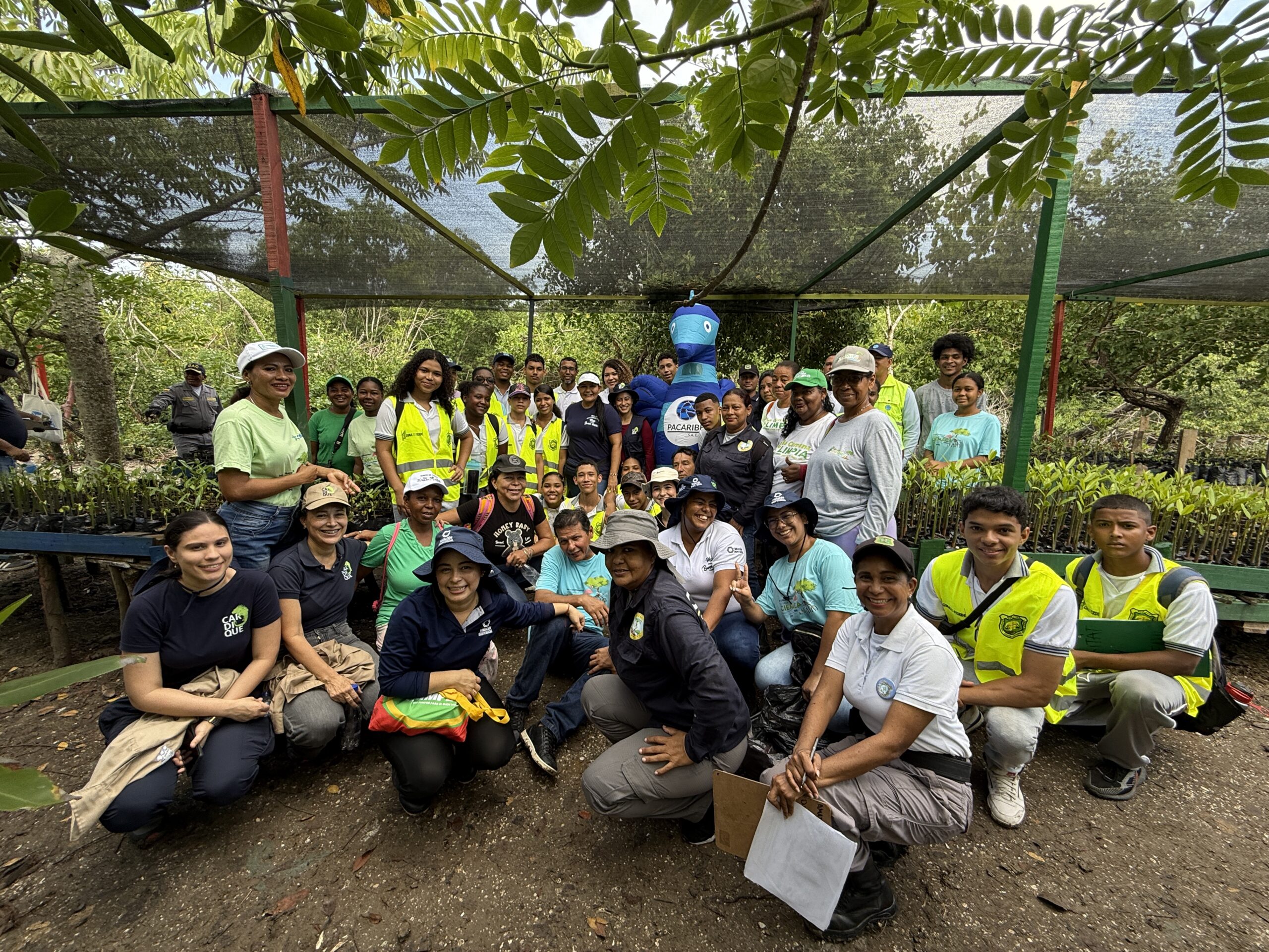 Semana del Manglar moviliza a Cartagena por la protección de la Ciénaga de La Virgen
