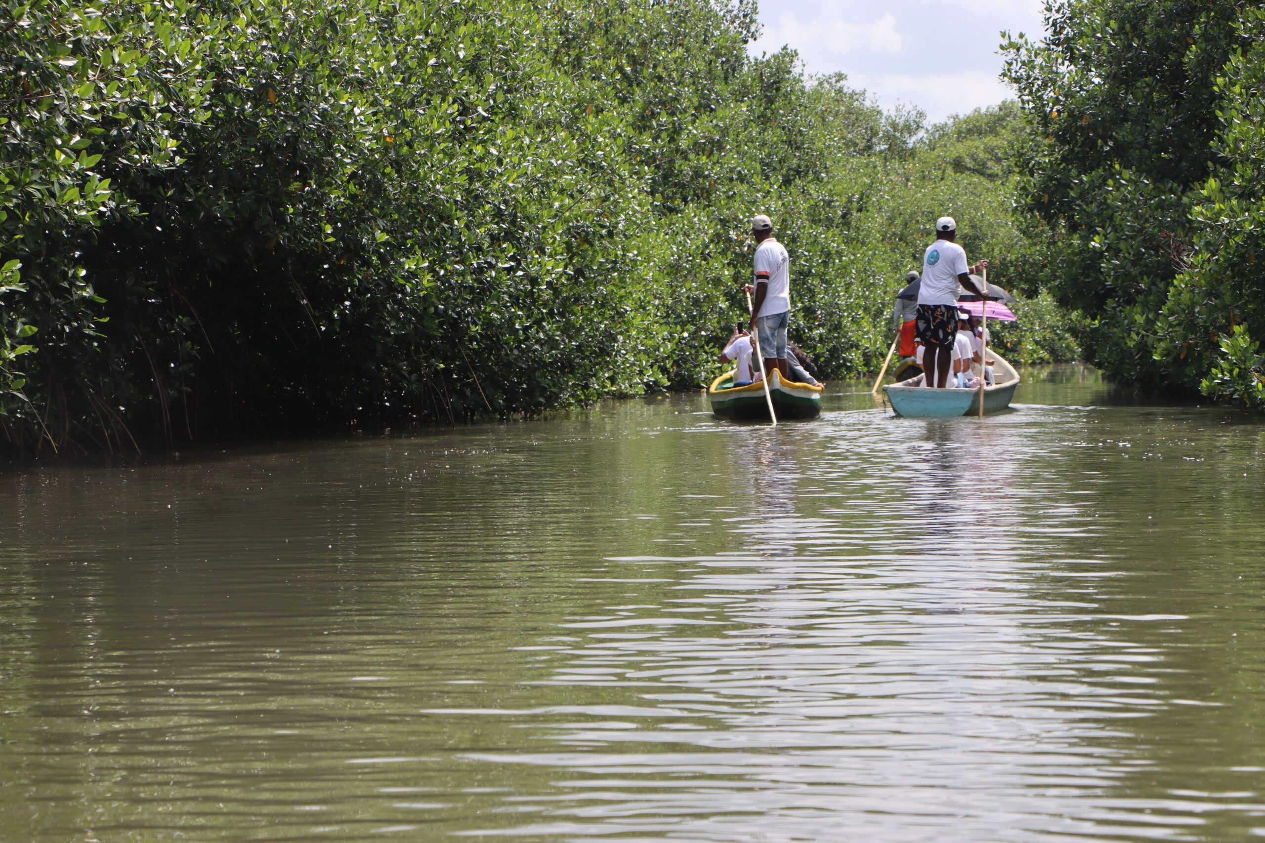 Unicartagena lanza diplomado para gestores ambientales afrodescendientes