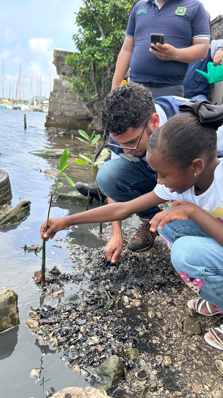 Cartagena marca hito ambiental con aprobación de su Política Pública de Educación Ambiental