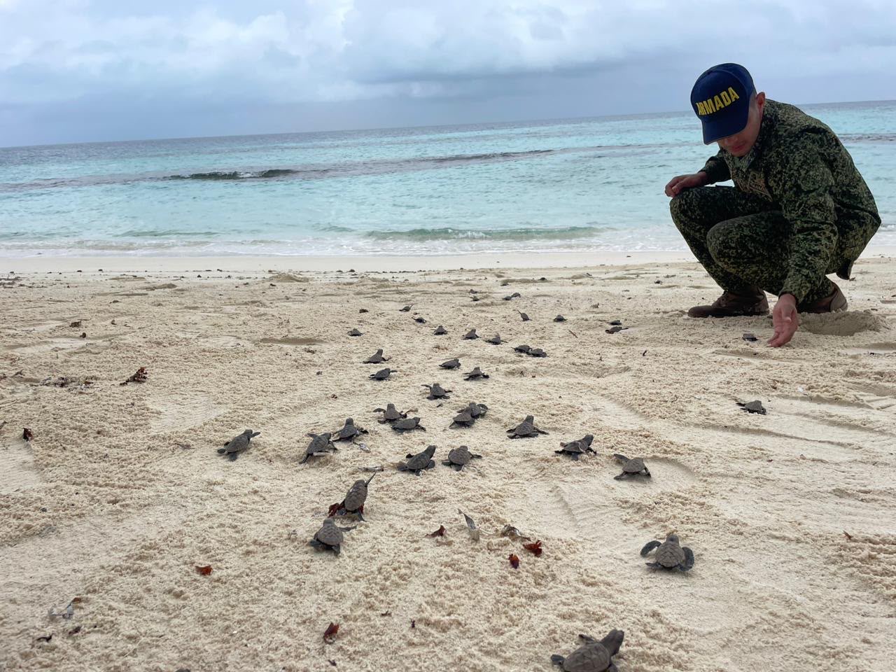 Armada protege el nacimiento de tortugas marinas en el Archipiélago