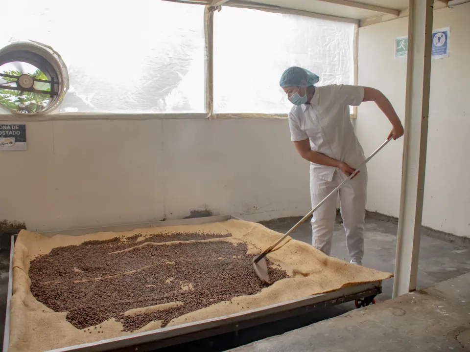 El campo creció 3,1 % en 2025: experto entrega 5 claves para impulsar liderazgo juvenil en el agro