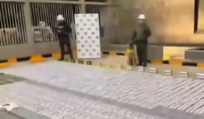 Incautan 885 kilos de cocaína ocultos en un bloque de piedra en el puerto de Cartagena