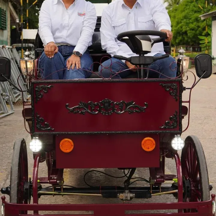 Corte prohíbe tracción animal para actividades turísticas tras demanda de Dumek Turbay
