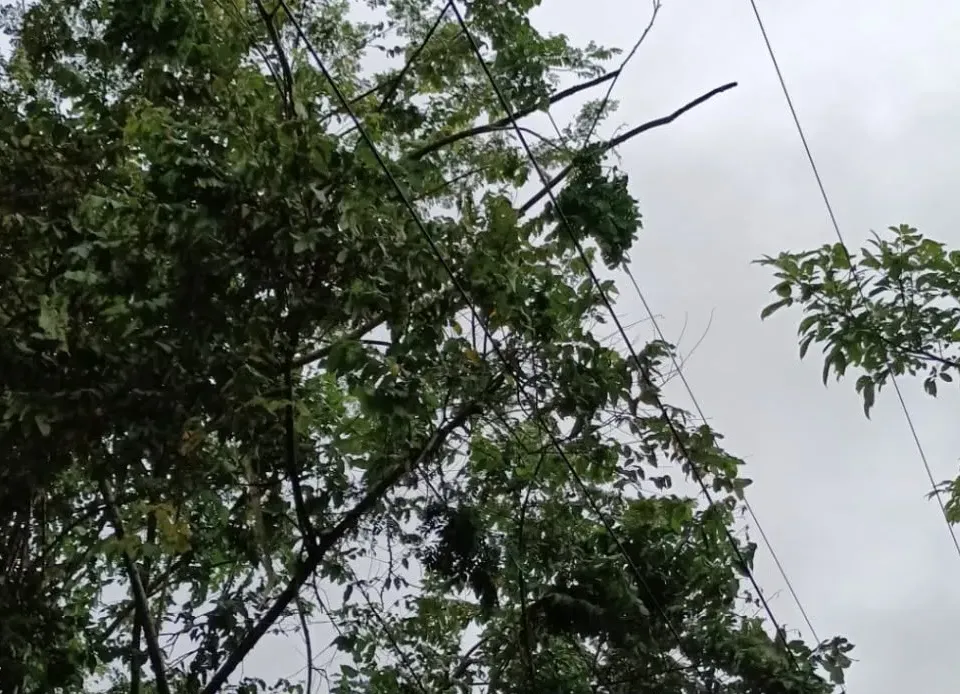 En Cartagena lluvias generan afectaciones en energía; Afinia avanza en su atención