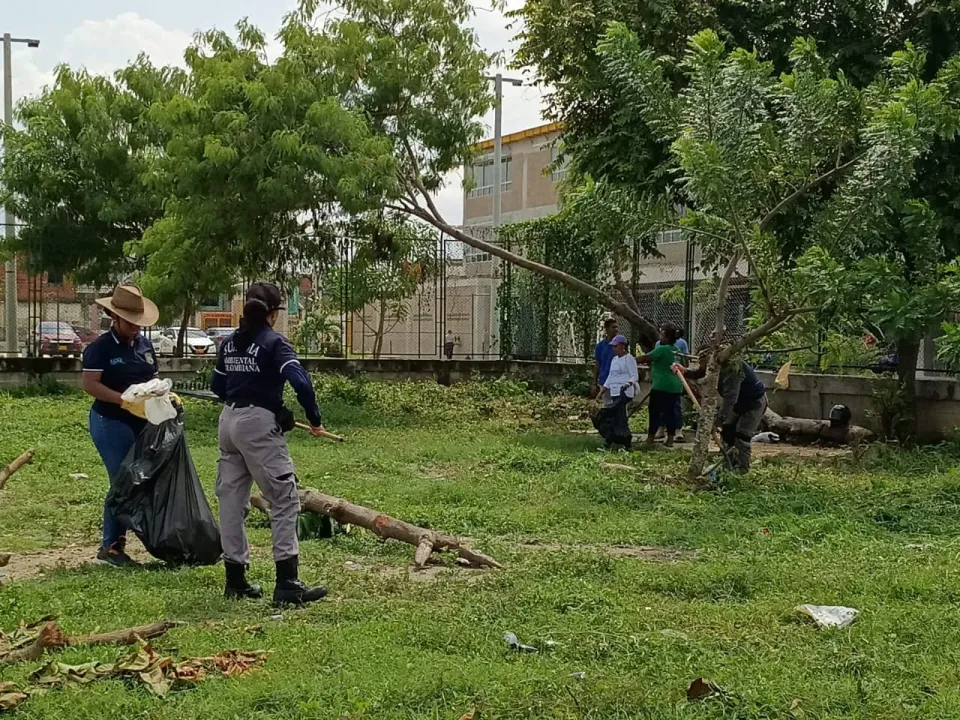 Recuperan zona degradada en Olaya Herrera con la siembra de 1.000 plántulas de mangle Zaragoza