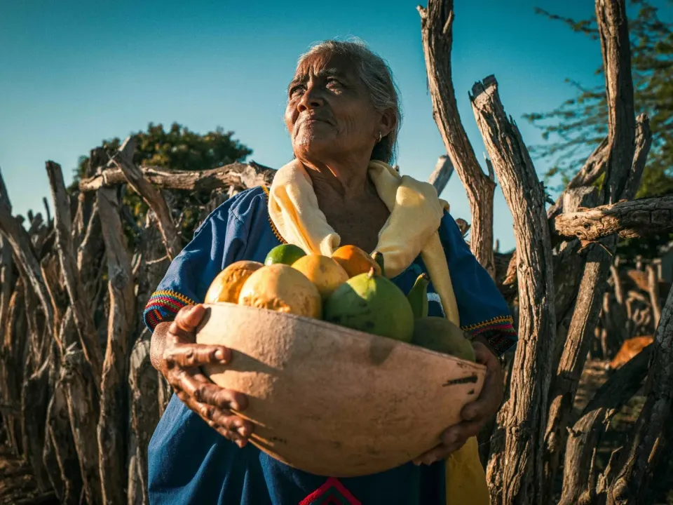 Fundación Alpina y Uniandes abren convocatoria para reconocer iniciativas rurales que fortalecen seguridad alimentaria en Colombia